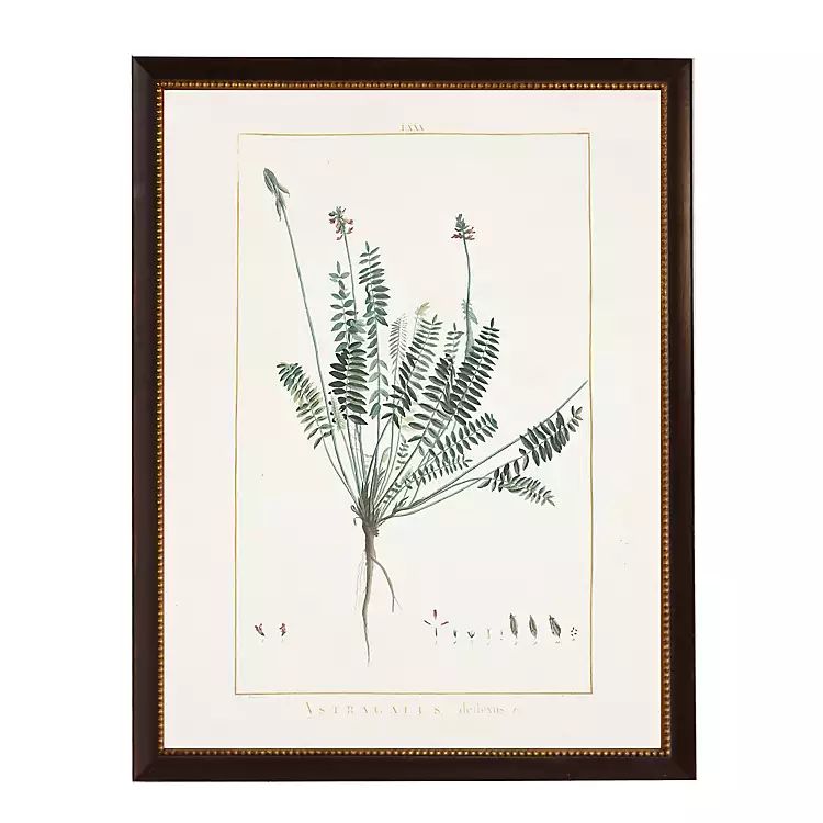 Astragalus Greenery Black Beaded Framed Art Print | Kirkland's Home