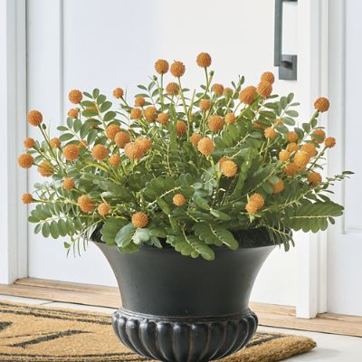 Sunset Tropic Urn Filler | Grandin Road | Grandin Road