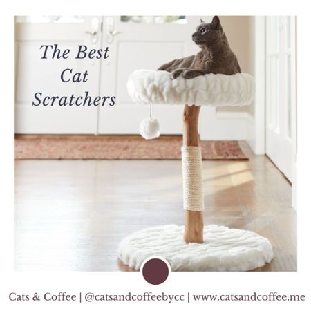 Is your cat scratching at your furniture? Curb unwanted scratching with these great cat scratchers, including aesthetic cat towers and affordable finds:

#LTKsalealert #LTKfamily #LTKhome