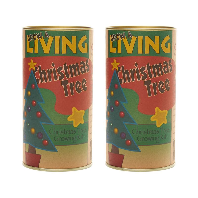 2pk Living Christmas Tree Seed Grow Kit - Colorado Blue Spruce - The Jonsteen Company | Target