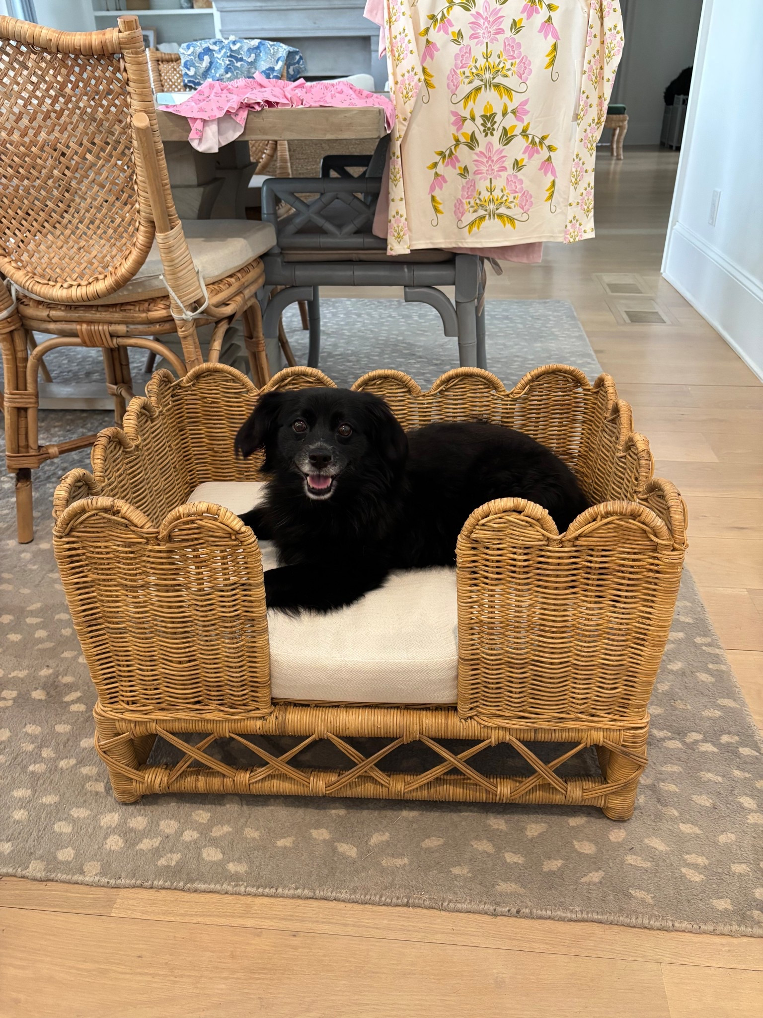 Rattan coastal woven dog bed Walmart 

#LTKHome #LTKSpringSale #LTKSaleAlert