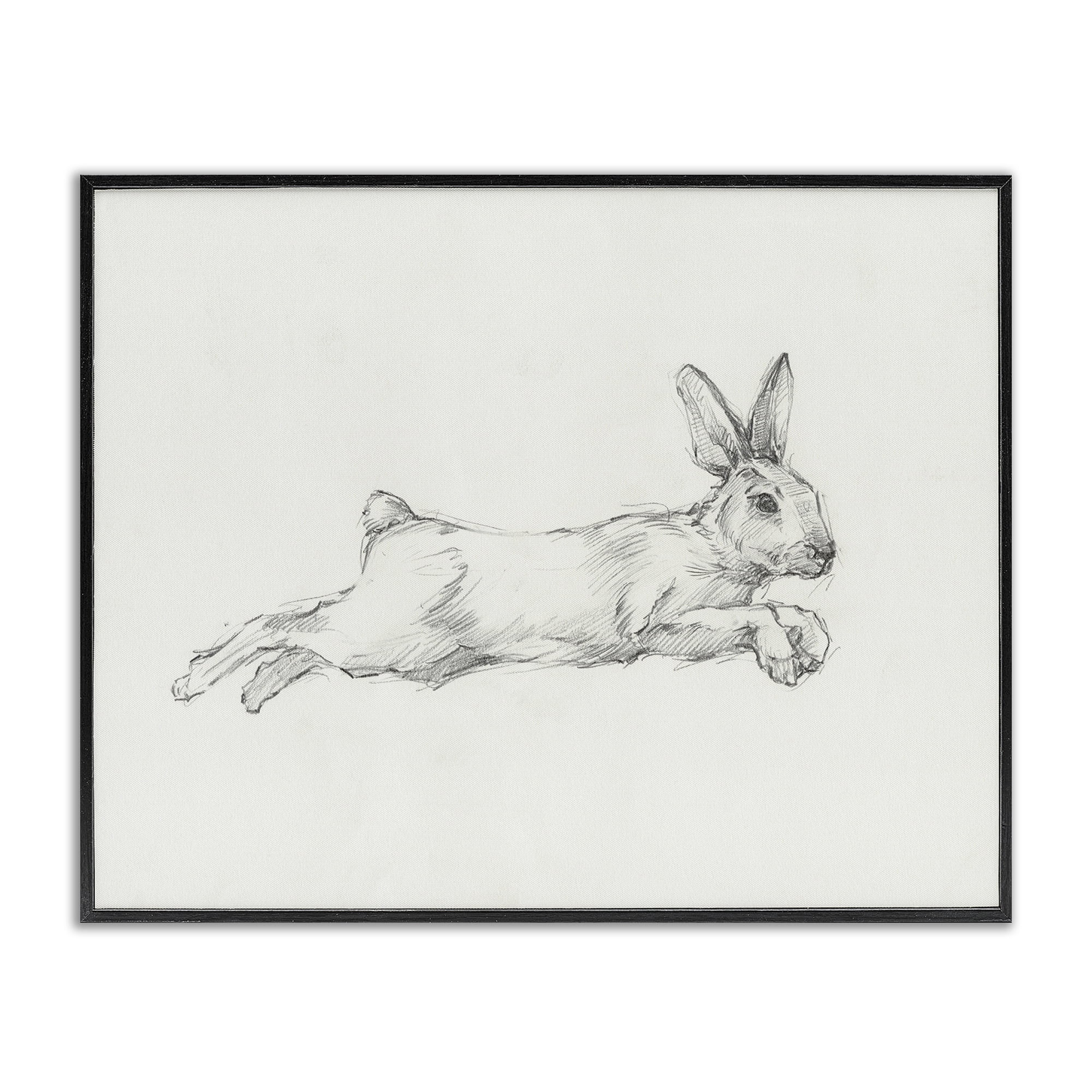Stupell Industries Jumping Rabbit Sketch Animals & Insects Drawing Black Framed Art Print Wall Ar... | Walmart (US)