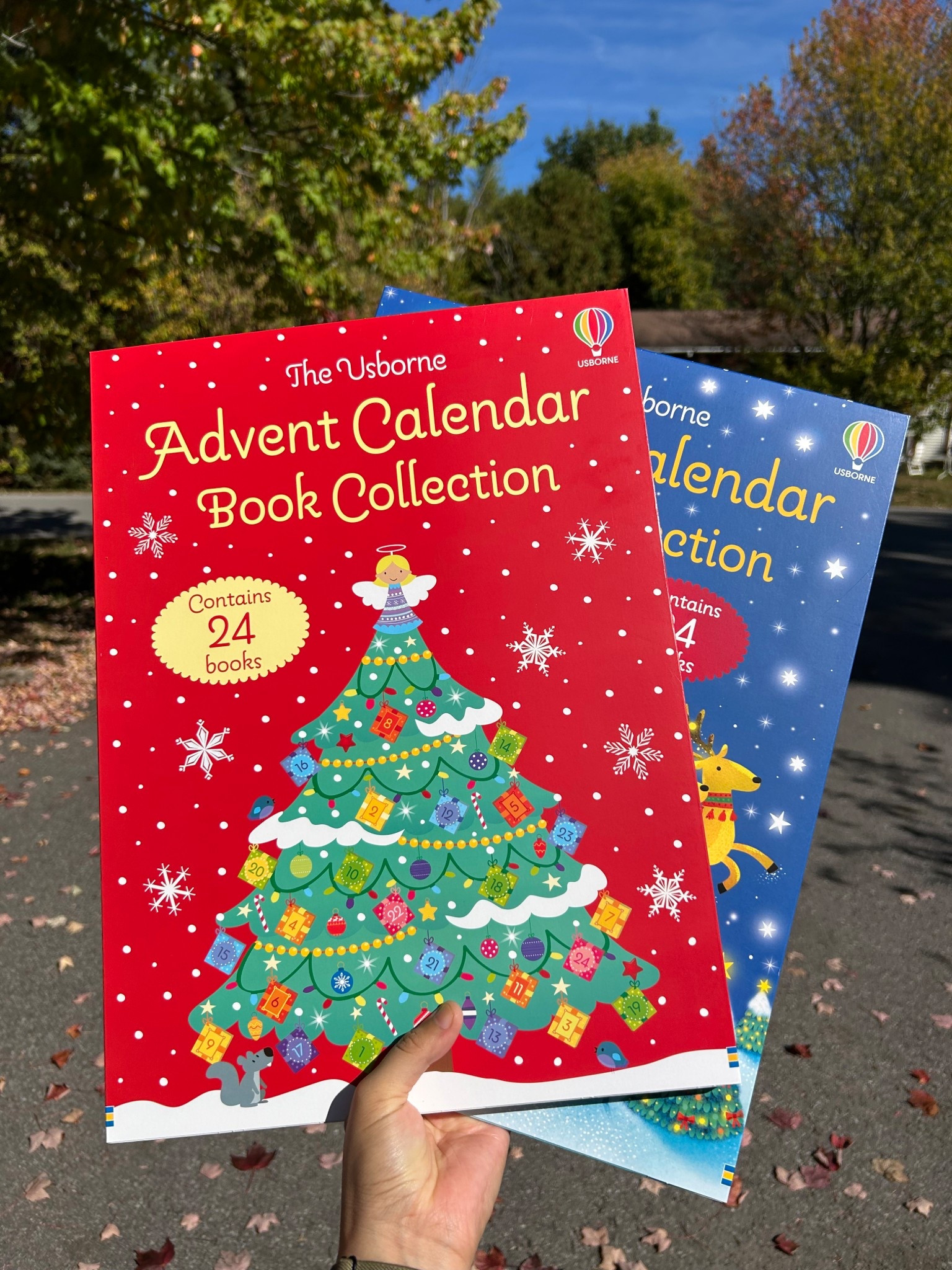 Book advent calendars

#LTKcanada #LTKfamily #LTKkids