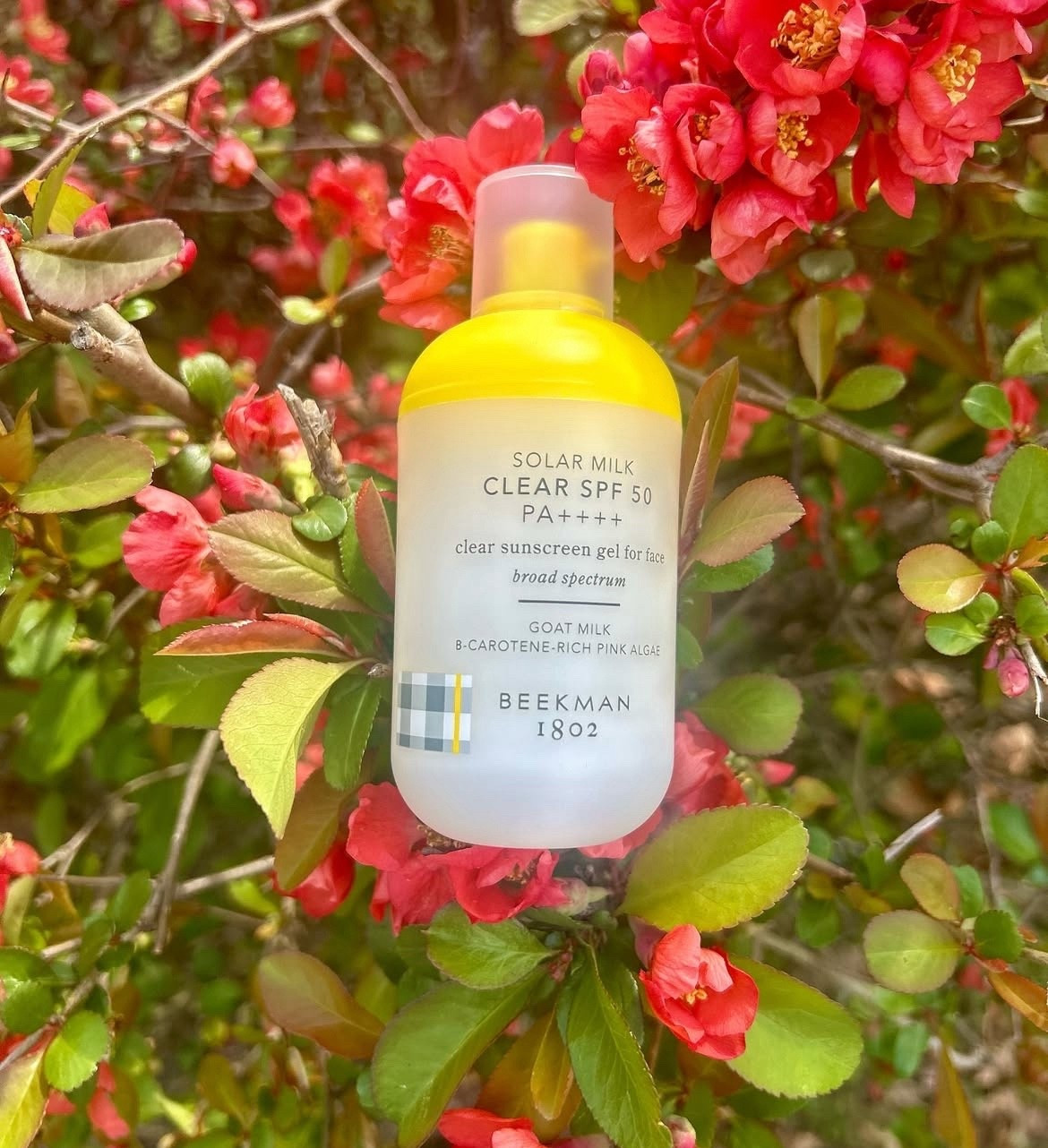 SPF is so important to integrate into your everyday routine. This one from Beekman is extraordinary. It goes on smoothly and absorbs in quickly. I recommend it. 

SOLAR MILK. Benefits: 100% invisible, 3-in-1 formula protects, primes, and provides better-aging benefits. Velvety gel texture applies clear with no white cast.
Makeup-gripping formula primes your most glam looks without any pilling. PAt++t, the highest rating in the Japanese system, provides the strongest level of broad-spectrum UVA protection.. Rich in antioxidants that hydrate and brighten skin Glow.
Non-greasy, non-irritating. Suitable for all skin types and tones. Safe for sensitive skin. 

Key Ingredients:
Triple Milk Complex: Goat, coconut, and rice milk rebalance, replenish, and restore the skin barrier.
Pink Algae: The algaes natural beta-carotene acts as a powerful antioxidant to brighten skin. Arginine: A moisturizing amino acid that promotes skin elasticity.
Formulated Without: Sulfates. Fragrance. Alcohol.
Oxybenzone. Octinoxate.

#LTKFindsUnder50 #LTKSeasonal #LTKBeauty