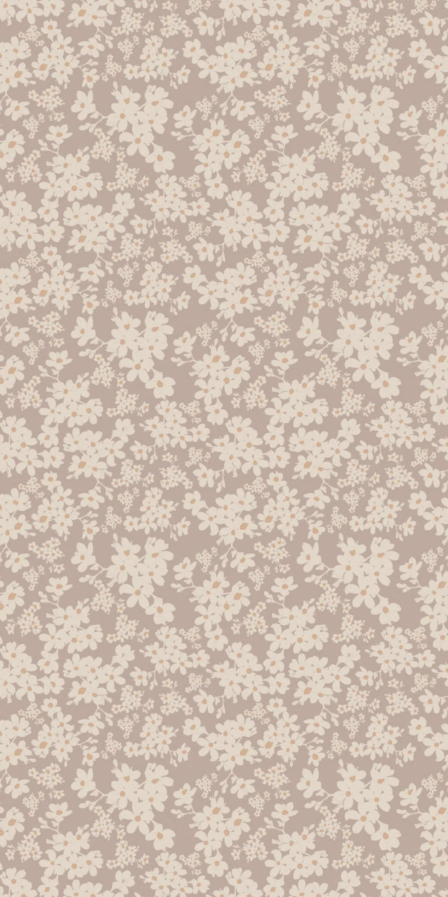 Poppy | Chasing Paper