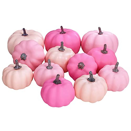 12 Pcs Assorted Small Fall Artificial Pumpkins Faux Pink Pumpkins Decorative Pumpkins Foam Pumpkins for Gifts Fall Wedding Baby Shower Halloween Thanksgiving Table Centerpiece Farmhouse Decor | Amazon (US)