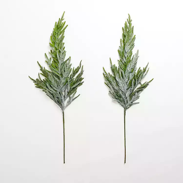 New! Snowy Norfolk Tree Stems, Set of 2 | Kirkland's Home