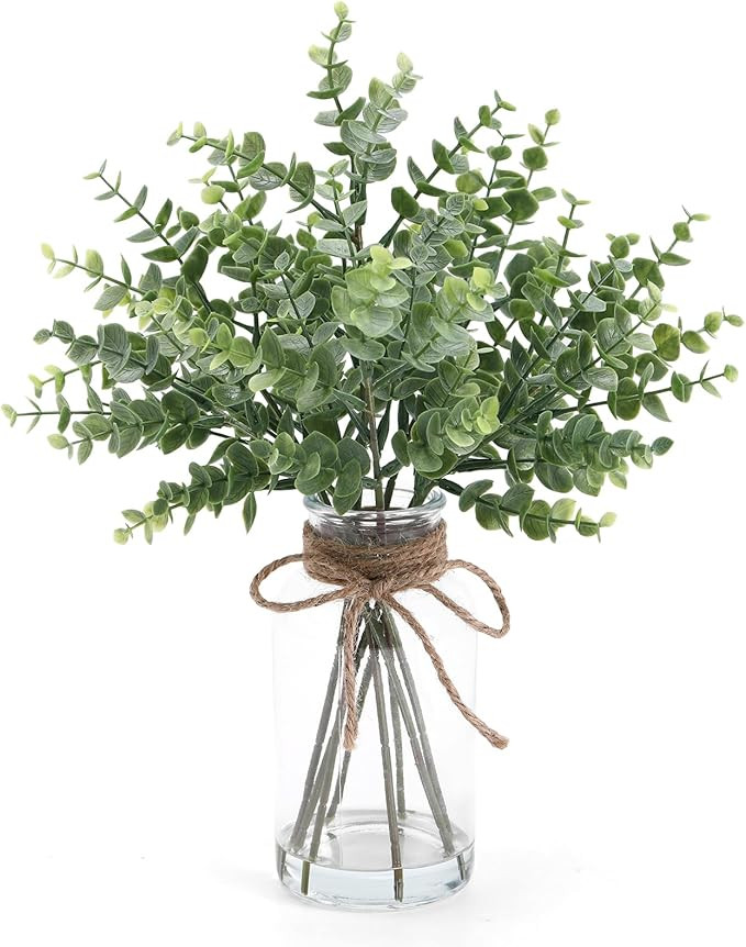 Coferset Eucalyptus Stems in Glass Vase with Faux Water, 14" Eucalyptus Fake Plants for Home Bath... | Amazon (US)