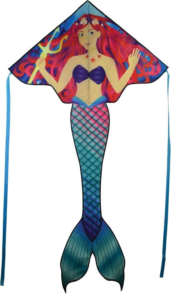 In the Breeze Sea Life Fly-Hi Kite, Single Line Kite, Ripstop Fabric, Line and Bag Included | Amazon (US)