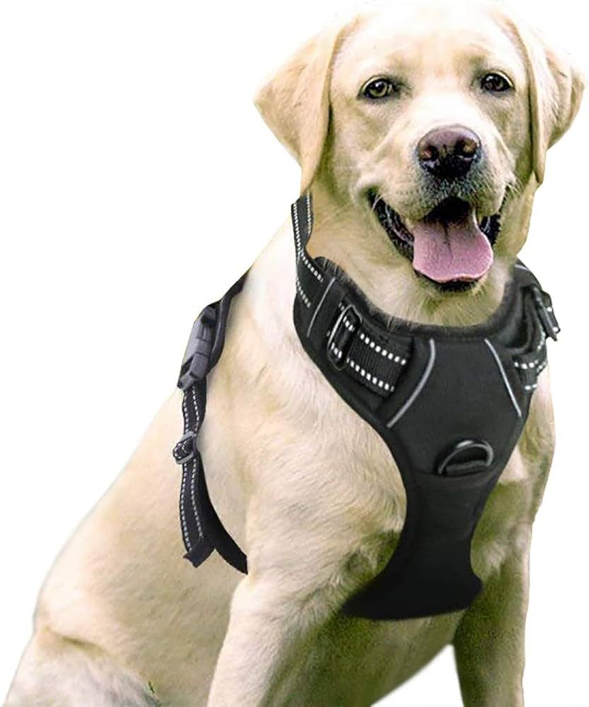 rabbitgoo Dog Harness, No-Pull Pet Harness with 2 Leash Clips, Adjustable Soft Padded Dog Vest, R... | Amazon (US)