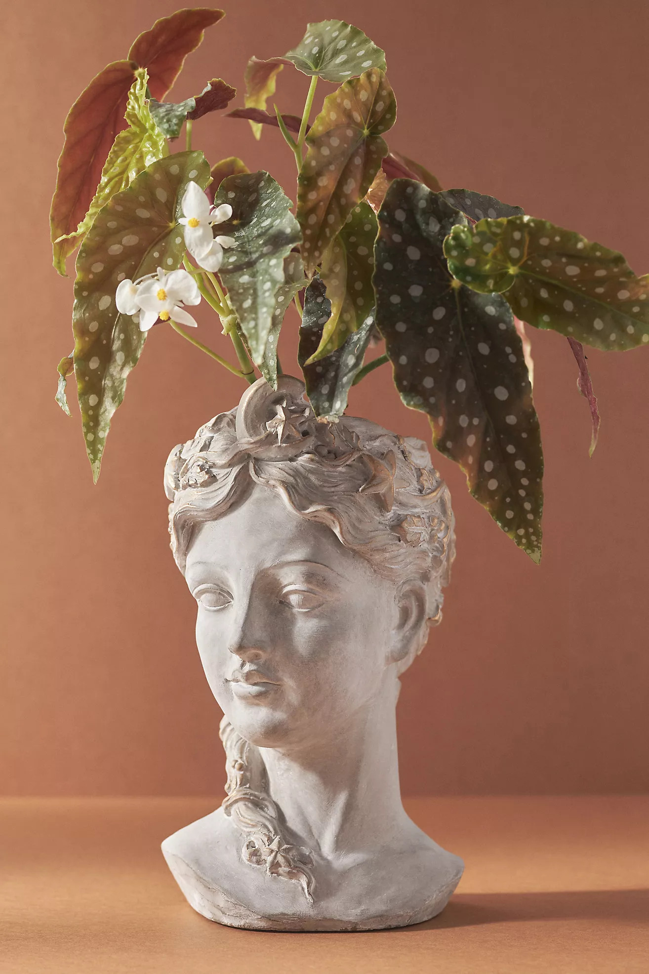 Celestial Grecian Bust Cement Pot | Anthropologie (US)