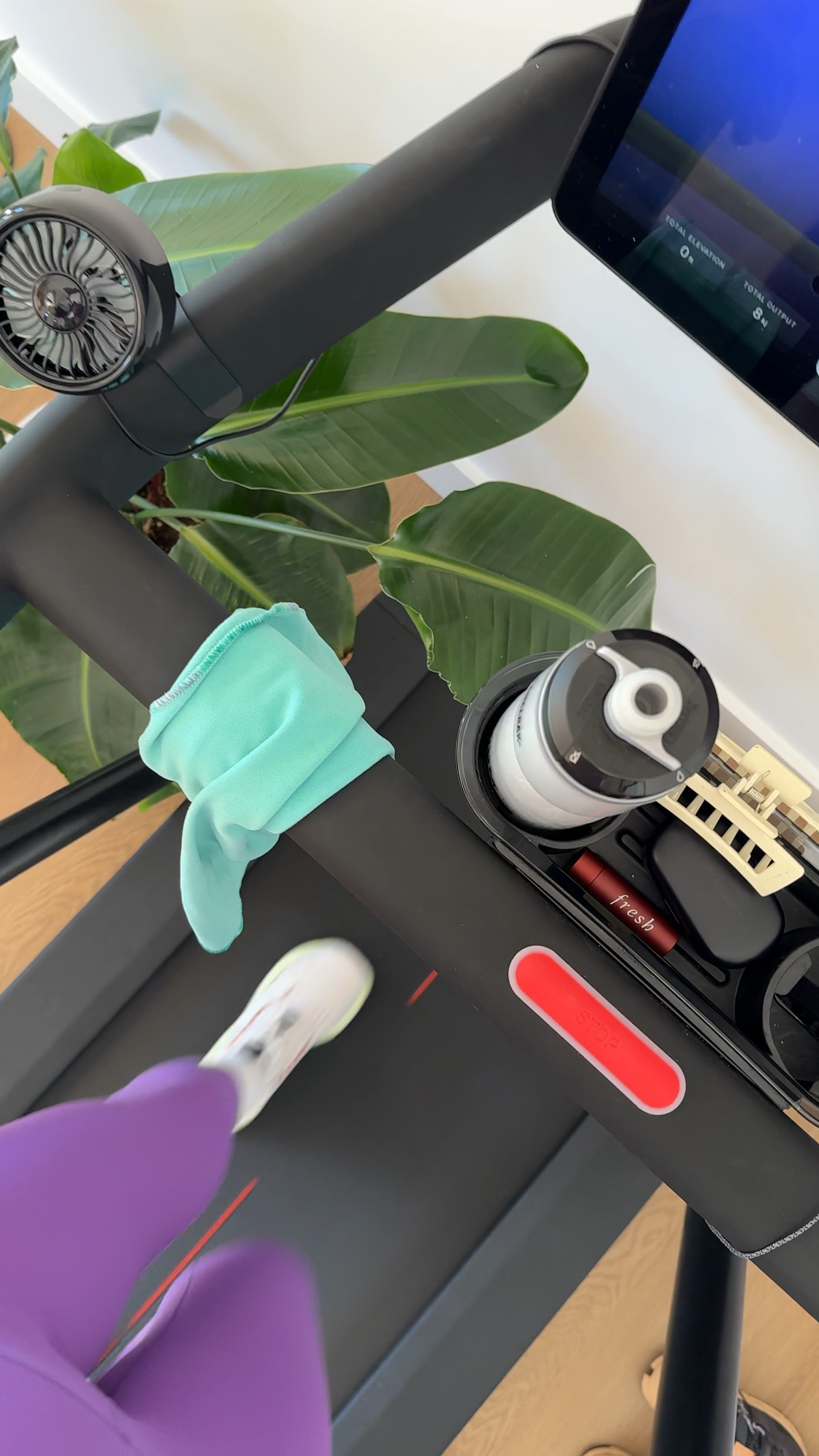 Active Rest Day 💜 Size S in bra and leggings 

#LTKFindsUnder50 #LTKShoeCrush #LTKFitness