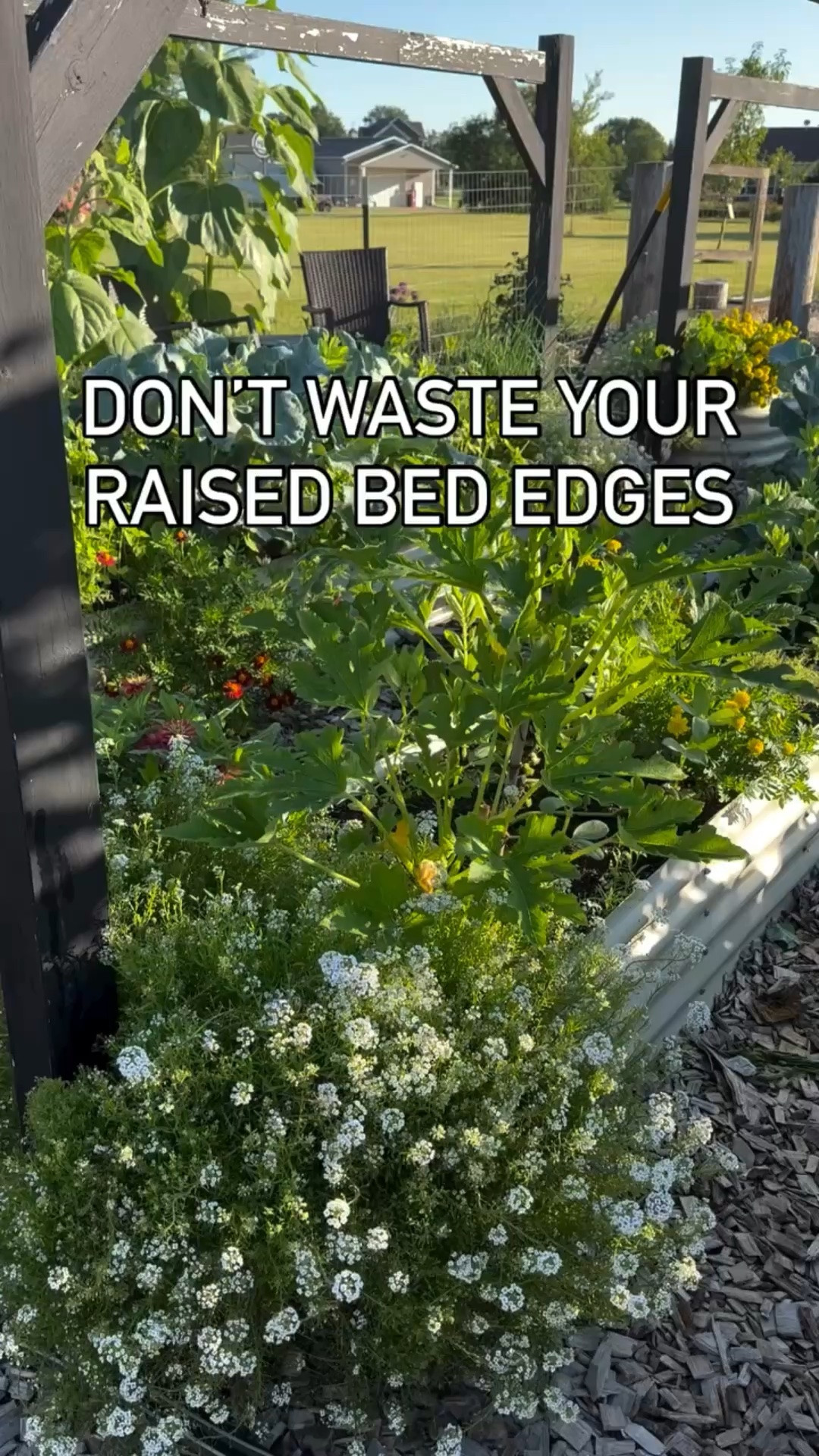 I talk a lot about vegetables but don’t forget about flowers in your raised beds this season! 

I will ALWAYS plant trailing flowers around the edges of my raised beds 🌸They soften the structure, attract pollinators, and make the whole garden feel fuller. 

Bonus: it’s a great way to maximize space in smaller gardens. Plant alyssum (my favorite!) nasturtiums, marigolds, cosmos, and another favorite dwarf zinnias. 

#RaisedBedGarden #CutFlowerGarden #PollinatorGarden #Zone4Garden #NaturallyHicks GardenDesign CottageGarden