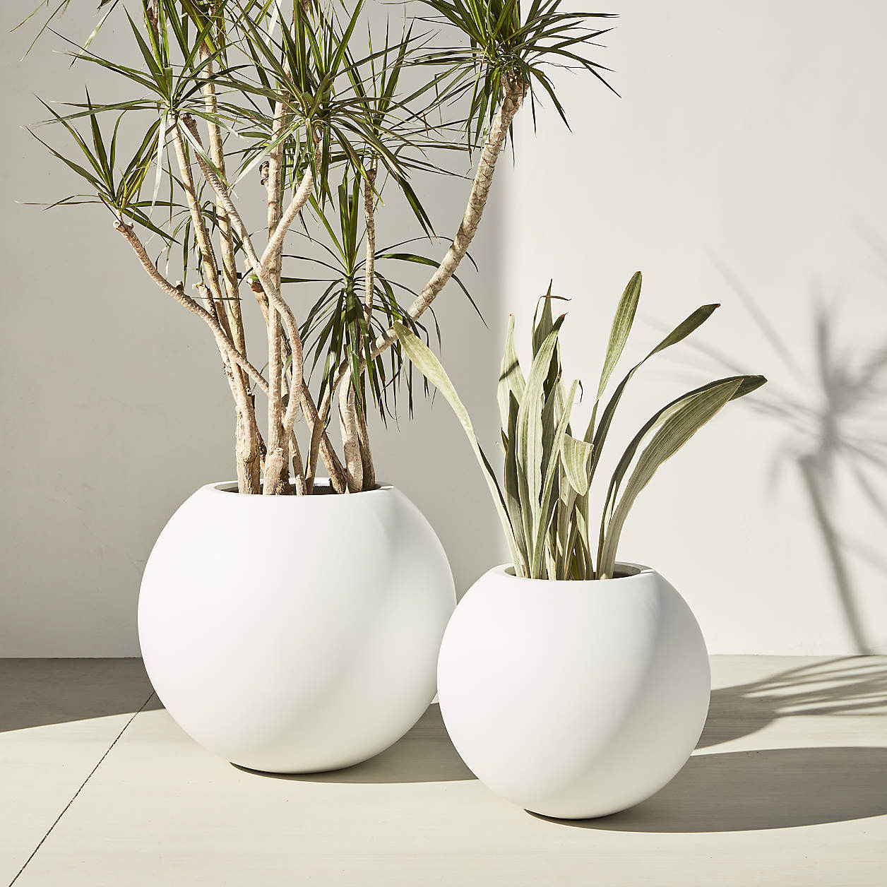 Sphere Large White Indoor/Outdoor Planter 26" + Reviews | Crate & Barrel | Crate & Barrel