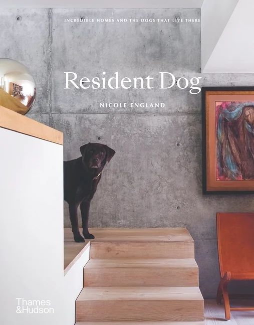 Resident Dog (Compact) : Incredible Homes and the Dogs That Live There (Hardcover) - Walmart.com | Walmart (US)