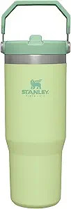 Stanley IceFlow Stainless Steel Tumbler with Straw - Vacuum Insulated Water Bottle for Home, Offi... | Amazon (US)
