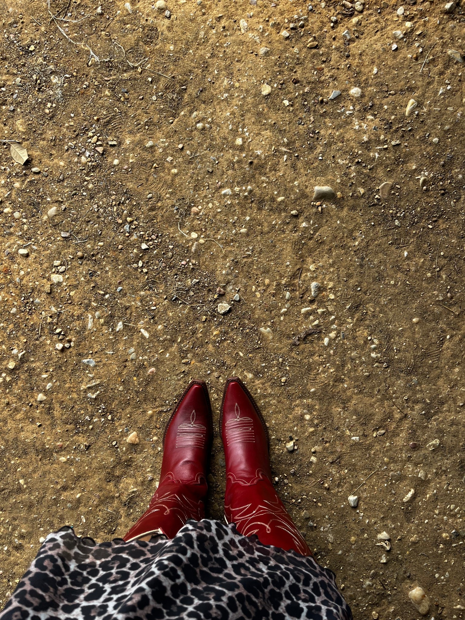A red to boot to add to the addition.. I mean collection 
#cowgirlboots #westernfashion #rodeooutfit