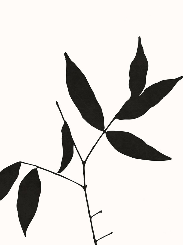 TROPICAL LEAVES - BLACK AND WHITE 02 | Artfully Walls