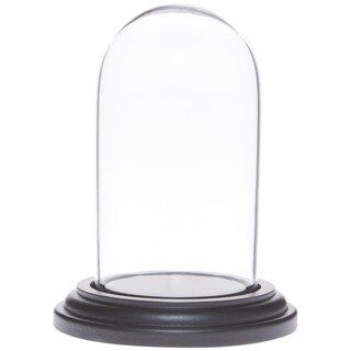 Plymor 1.85" x 3.5" Mini Glass Display Dome Cloche | Michaels Stores