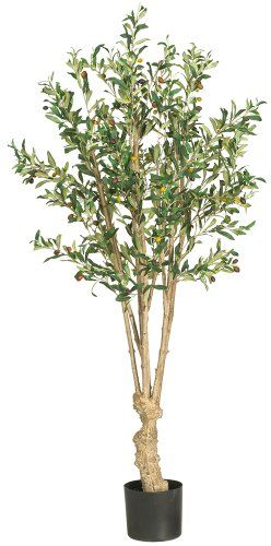 Nearly Natural 5258 Olive Silk Tree, 5-Feet, Green | Amazon (US)