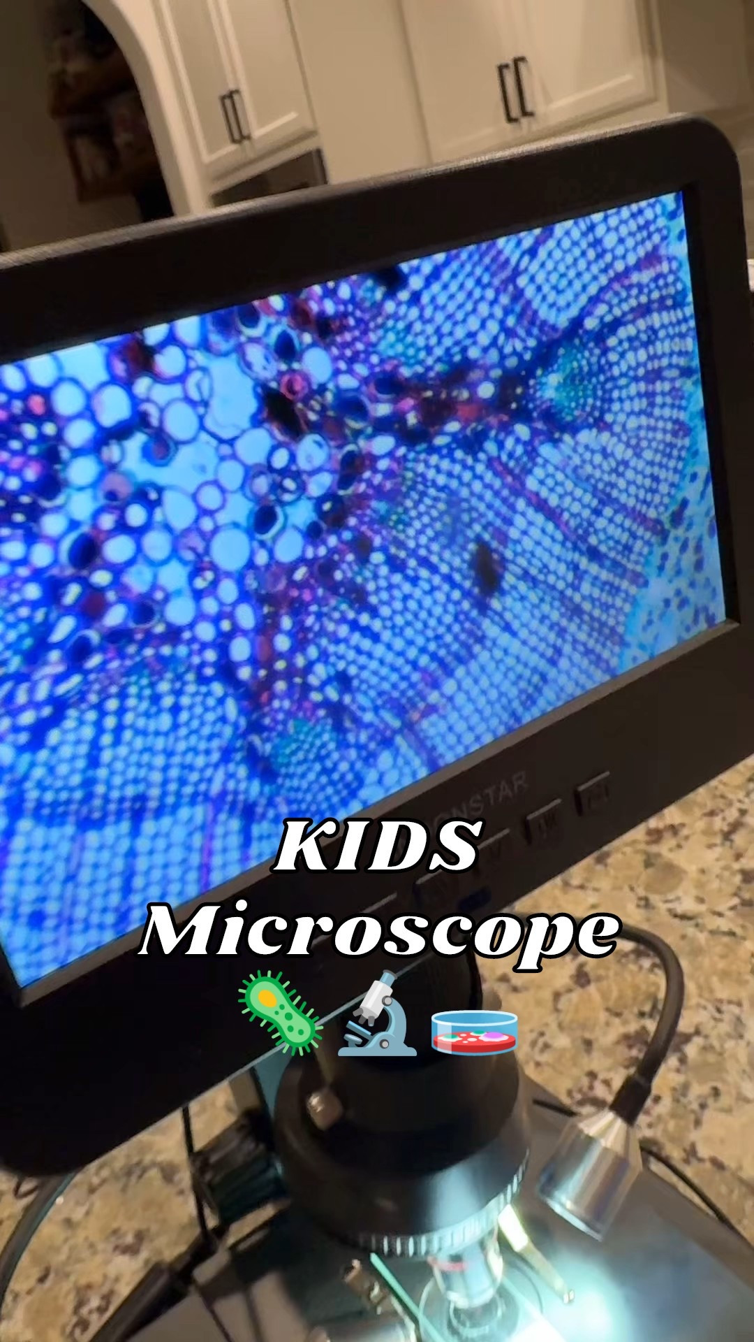 LUCKY YOU! (If you’re seeing this in time) because I just saw this was 20% off - the lowest price in 30 days! 

This was Julian’s big Christmas gift because that boy LOVES science! I have a less powerful, handheld microscope ($20 a tagged below - 1000x zoom) that we’ve LOVED for years, but this one has 4000x zoom and comes with everything a kid could need, INCLUDING specimen samples like a bee leg & wing, a cross section of a branch, onion skin, and more! 

If the big one is too much of a splurge, I promise the handheld one is still so so fun!! We used to go for walks and collect items to inspect and it’s absolutely, undoubtedly worth the $20 and can’t believe it’s so affordable for the quality! 



#LTKKids #LTKSaleAlert #LTKFamily