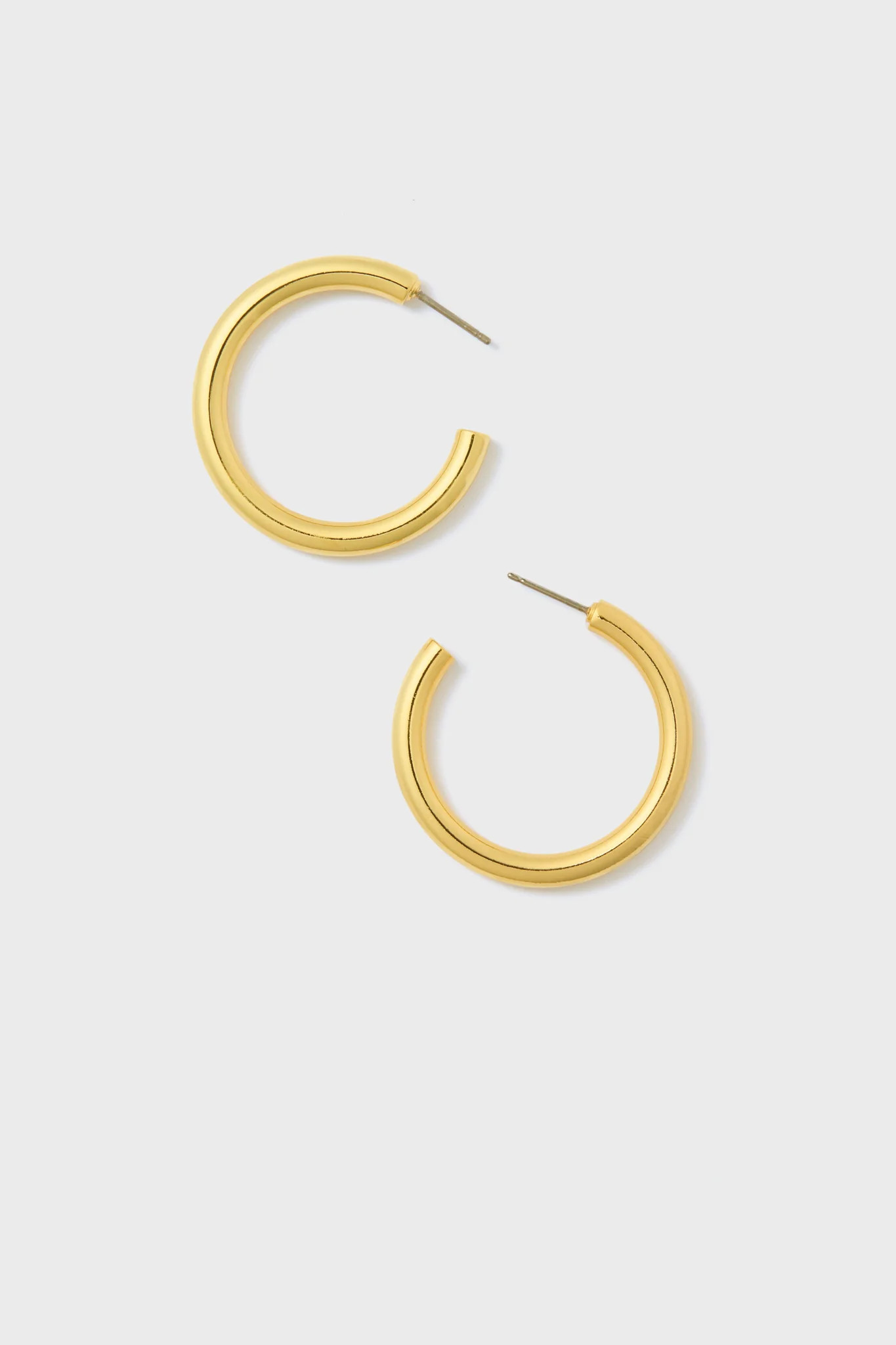 Gold Thick Hoop Earrings | Tuckernuck (US)