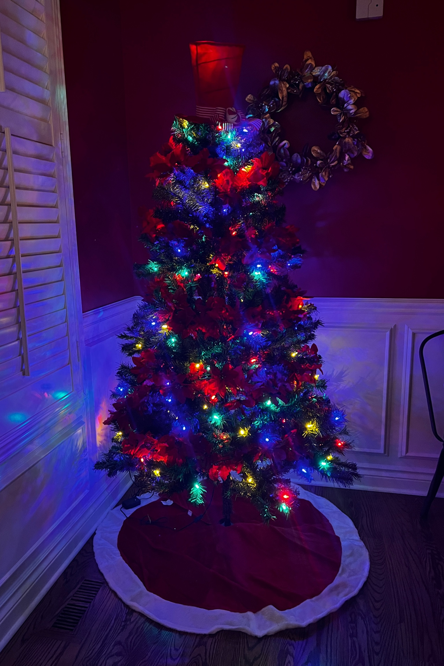 Tree Number 1