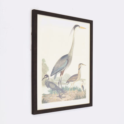 Crane Waters Edge Wall Art 60x48cm | TK Maxx