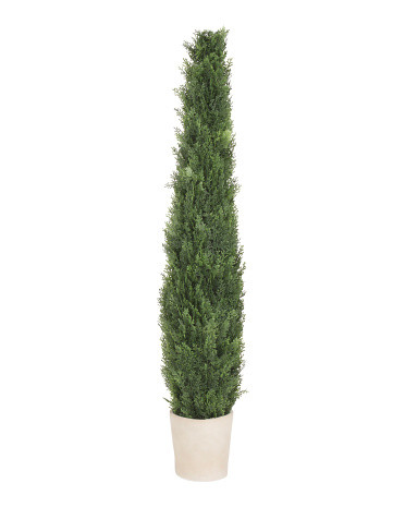 48in Outdoor Safe Potted Cypress Tree | TJ Maxx