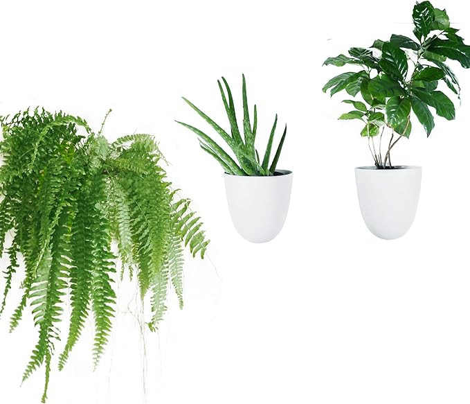 PlantPod Luxe Self-Watering Wall Planters (Set of 3) - Easy to Water and Install - Lightweight - ... | Amazon (US)