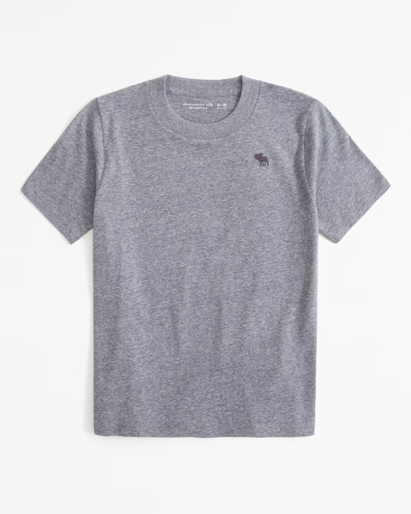 essential icon crew tee | Abercrombie & Fitch (US)