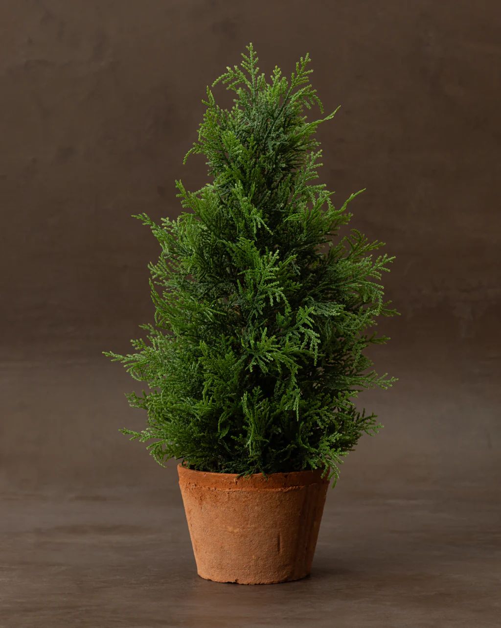 Faux Cypress Potted Tree | McGee & Co.