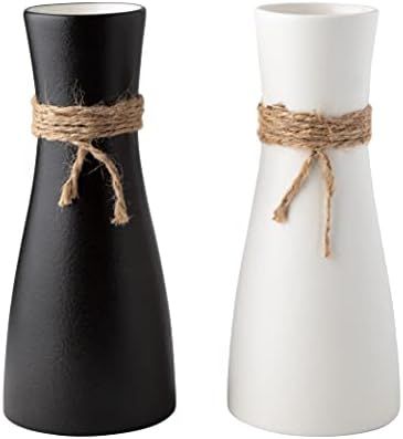 Gaby's Collection Ceramic Vase Set of 2 with Matching Hemp Rope Coasters - Black and White Vases ... | Amazon (US)