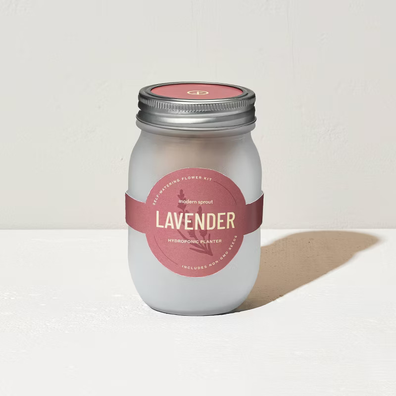 Modern Sprout Pint Jars Flower Garden Seed Kits - Lavender | Target