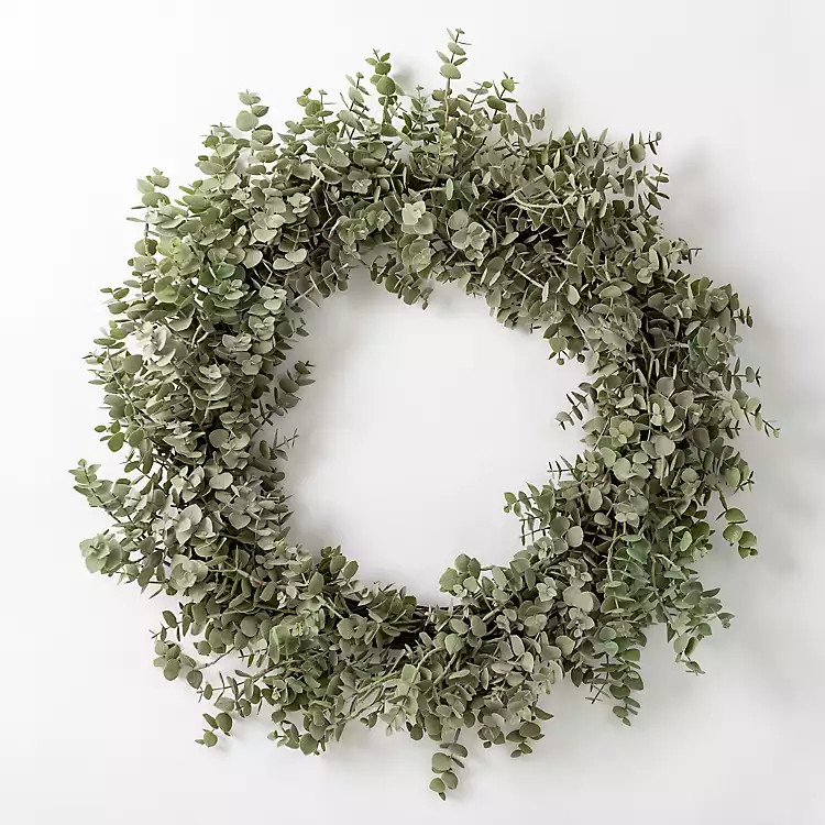 Baby Spiral Eucalyptus Wreath | Kirkland's Home