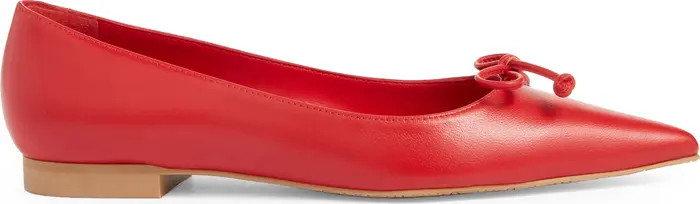 Landon Pointed Toe Ballet Flat (Women) | Nordstrom