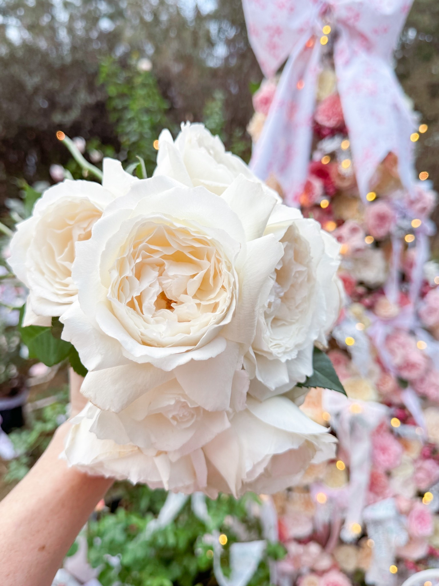 If you are after Princess Miyuki  

#LTKHome #LTKWedding #LTKSeasonal