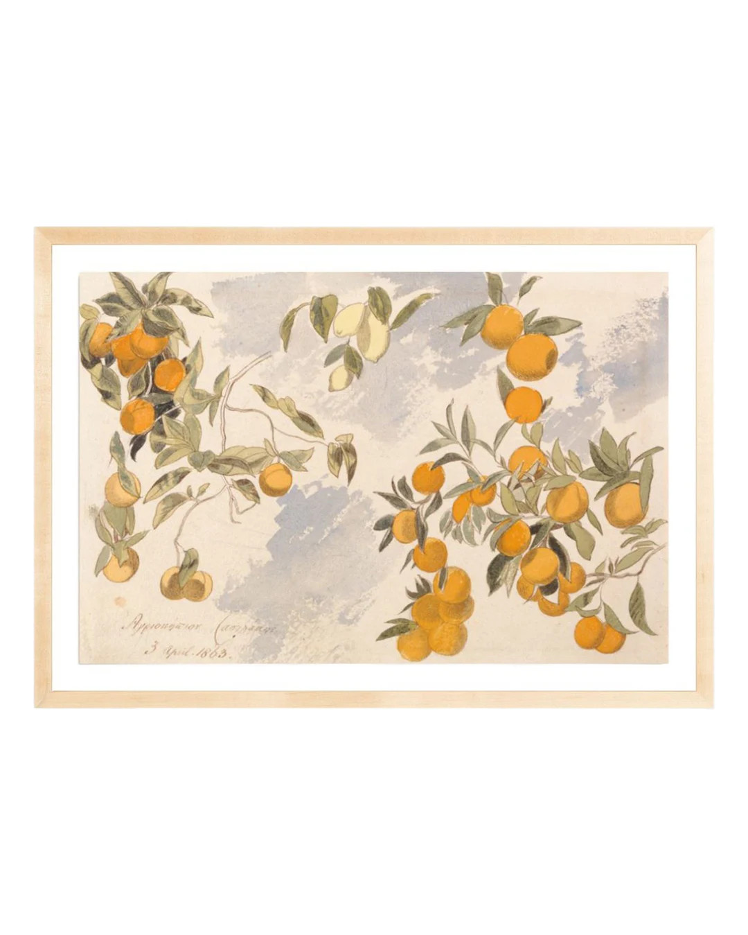 FRAMED. Watercolor Oranges Wall Art Print, Botanical Decor. Printed and Shipped Watercolor Art. -... | Etsy (US)