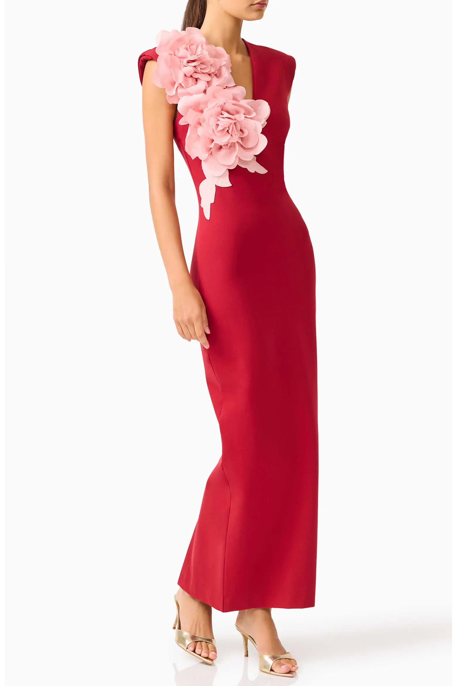 Zahara Floral Appliqué Sleeveless Gown (Women) | Nordstrom | Nordstrom
