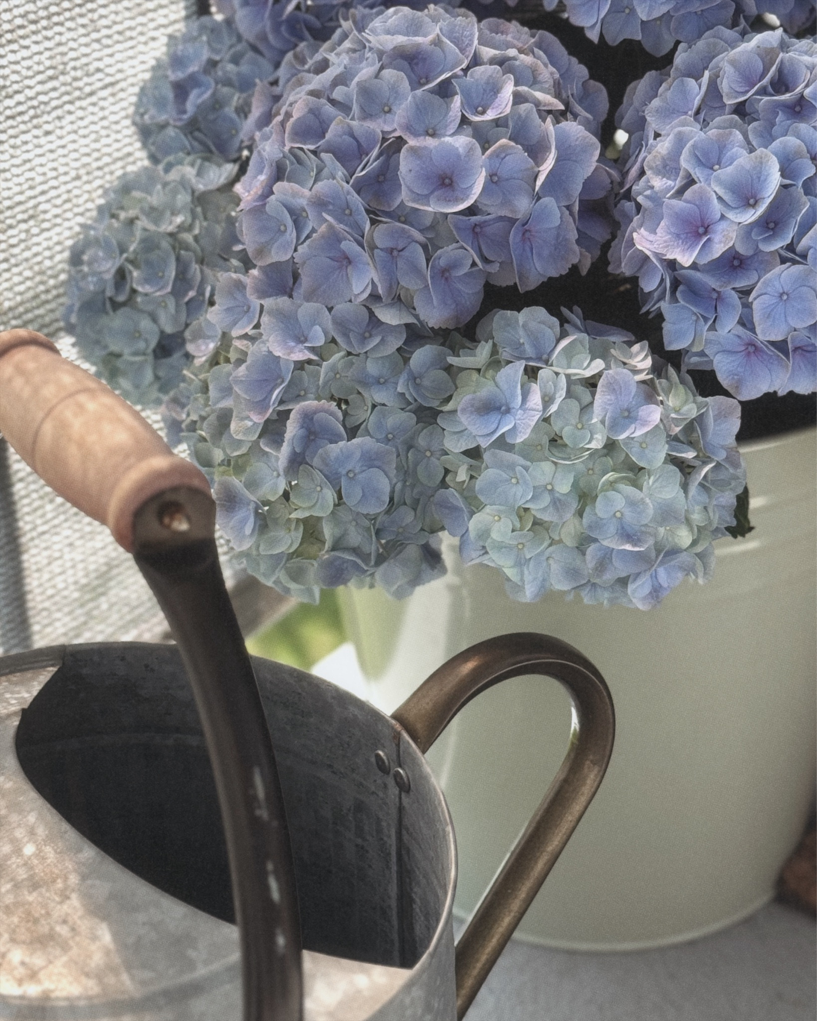 It’s summer, baby ✨

#LTKhome #LTKspring #LTKsummer