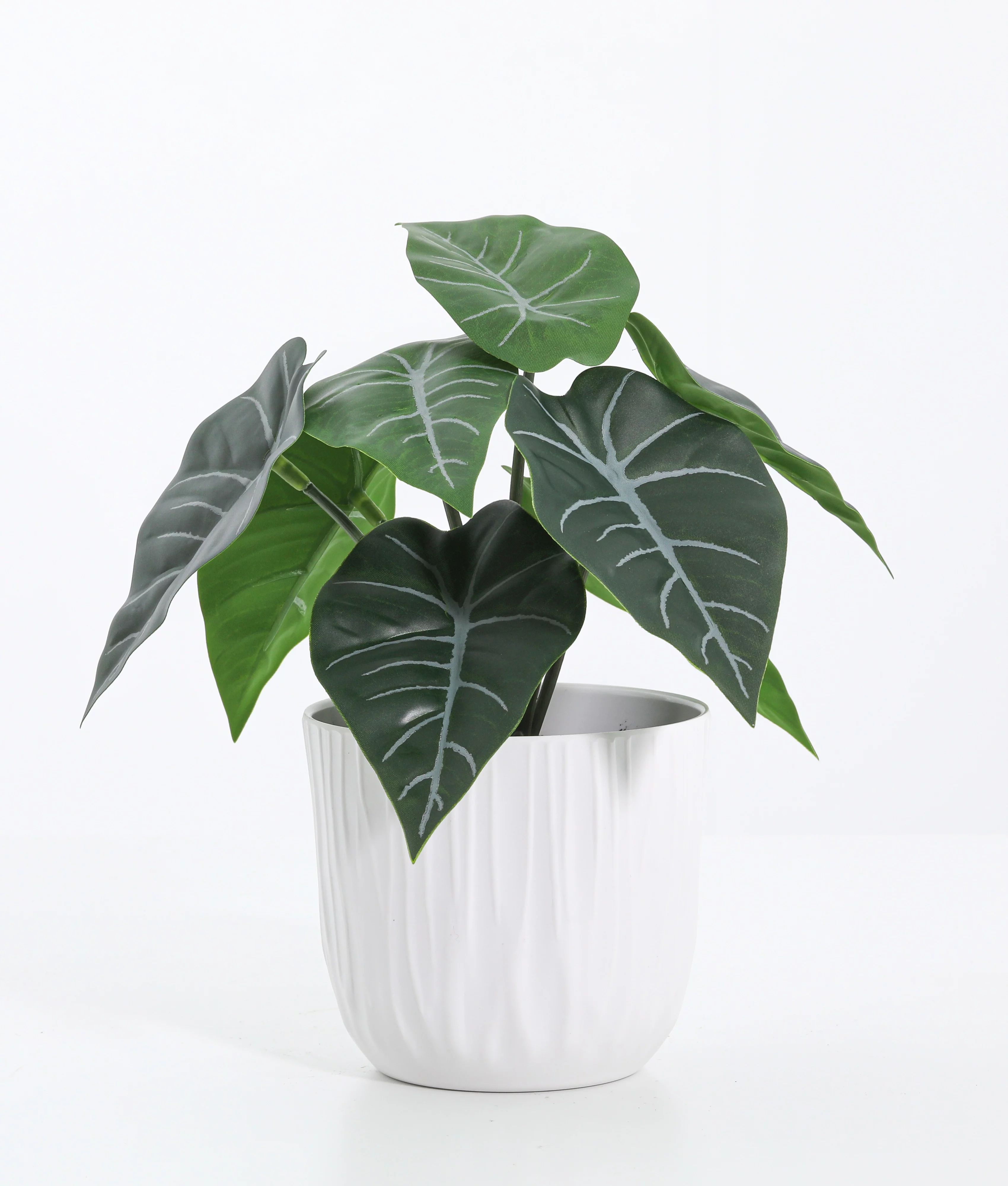 Mainstays 8.5" Tall Artificial potted Green Alocasia in White Pot | Walmart (US)