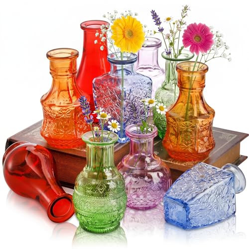 DEAYOU 10-Pack Glass Bud Vases for Decor, Small Vintage Flower Vases for Centerpieces, Crystal Colored Glass Single Bud Vase, Mini Rustic Vase Antique Tiny Floral Bottle for Table, Plants, Home | Amazon (US)