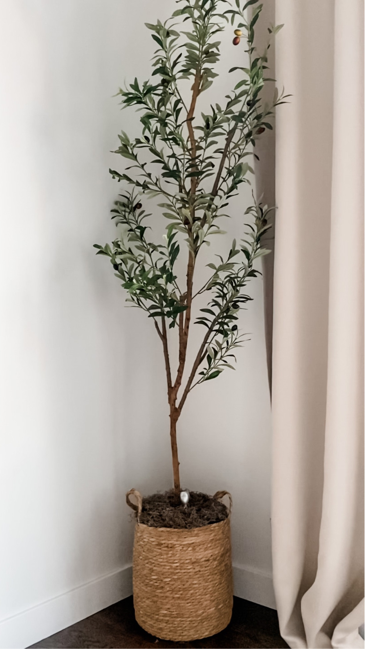 this is your sign to get a mini spotlight for your olive tree, if you don’t already have one 🫒🤩
•
•
•
faux olive tree, minimalist home decor ideas, modern home decor ideas, Amazon favorites 
#fauxolivetree #olivetree #minimalisthome #modernhomedesign #minimalisthomedecor #homedecorinspiration #homedecoridea #amazonfavorites

#LTKstyletip #LTKhome #LTKover40