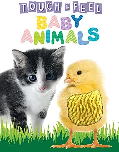 Touch and Feel Baby Animals - Novelty Book - Children's Board Book - Interactive Fun Child's Book | Amazon (US)