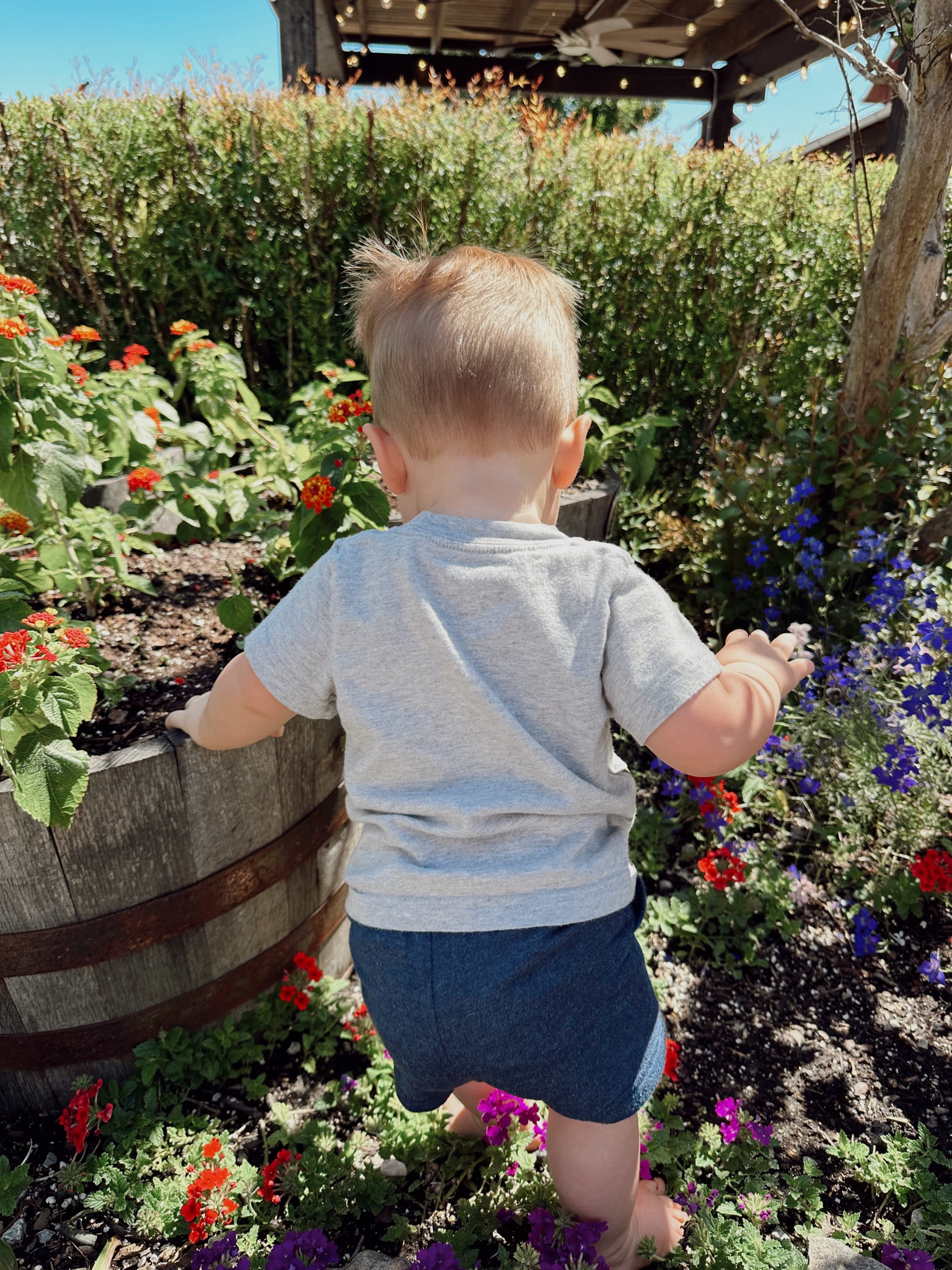 Some of our favorite toddler clothes! 

#LTKxWalmart #LTKFamily #LTKBaby