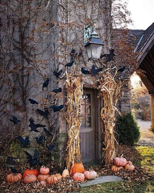Trick or Treat 👻 

#LTKHoliday #LTKHalloween #LTKSeasonal