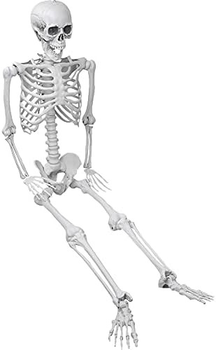 XONOR 5.4ft/165cm Halloween Skeleton - Halloween Human Skeletons Full Body Bones with Movable Joi... | Amazon (US)