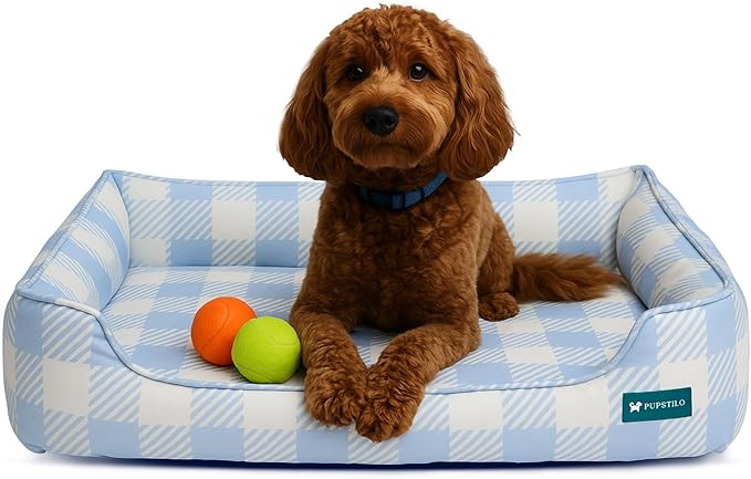 Orthopedic Bolster Dog Bed – CertiPUR-US Foam, Recycled Polyester Canvas, Washable Cover, Anti-... | Amazon (US)