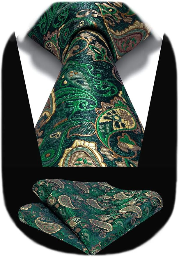 HISDERN Ties for Men Paisley Tie and Pocket Square Woven Classic Floral Mens Ties Handkerchief Se... | Amazon (US)