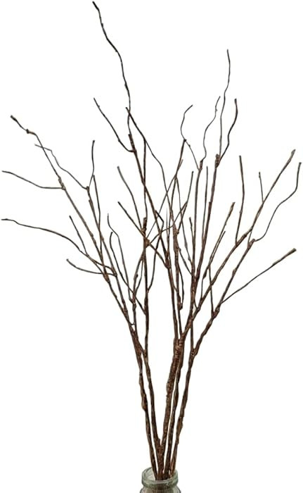 5PCS Artificial Lifelike Curly Willow Branches Decorative Dried Birch Twigs 25.9 Inch Fake Bendab... | Amazon (US)